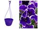 Підвісне кашпо для квітів 3,7л фіолетове 160004 фото 1
