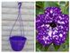 Подвесное кашпо для цветов 3,7л фиолетовое 160004 фото 2