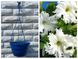 Кашпо підвісне для квітів синє 3,7л 160006 фото 2