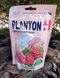 Добриво Planton H 200г Добрива для гортензій 300007 фото 1